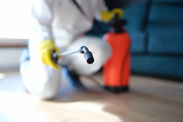 Best Mold Removal for HVAC Installations  in Nashville, NC