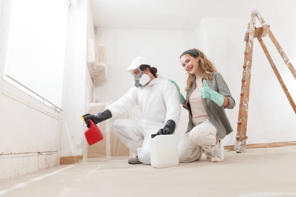 Best Mold Damage Restoration  in Nashville, NC